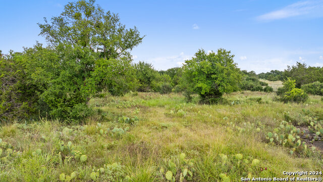 Image 24 of 34 For Tbd W Rr 962
