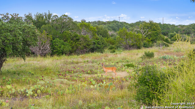 Image 29 of 34 For Tbd W Rr 962