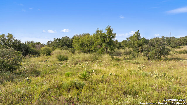 Image 34 of 34 For Tbd W Rr 962