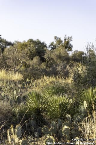 Image 9 of 34 For Tbd W Rr 962