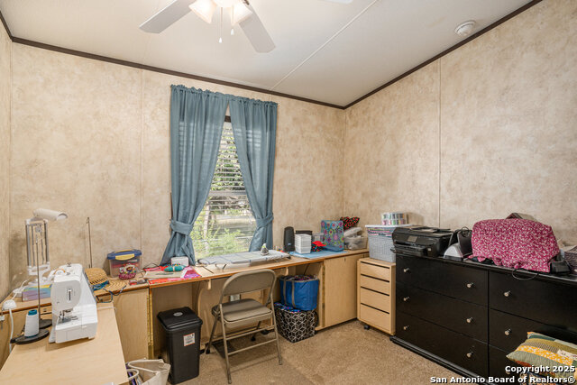 Image 15 of 36 For 12106 Grapevine