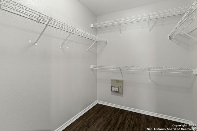 Image 20 of 25 For 8342 Shooting Quail