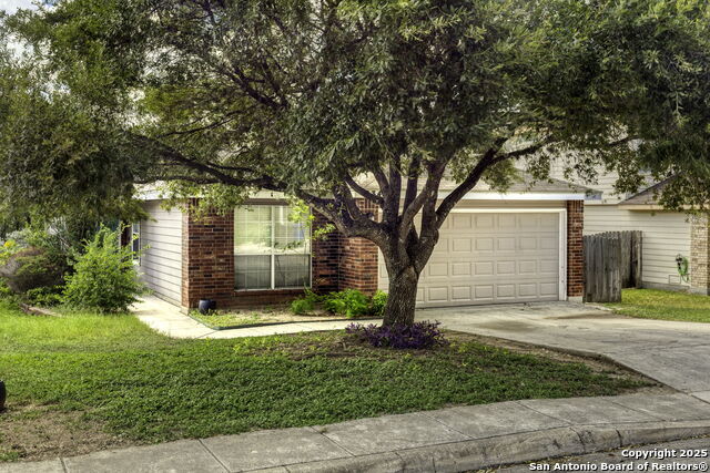Image 3 of 25 For 8342 Shooting Quail