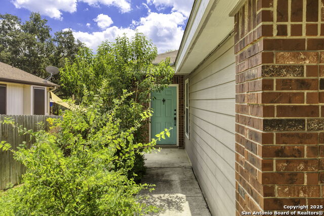 Image 4 of 25 For 8342 Shooting Quail