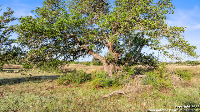 Image 17 of 29 For Tbd Vista Ridge