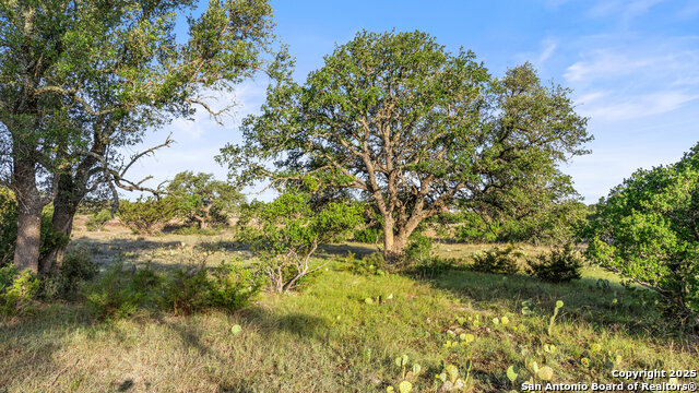 Image 26 of 29 For Tbd Vista Ridge