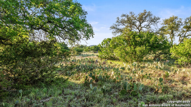 Image 27 of 29 For Tbd Vista Ridge