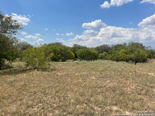 Details for 713 County Road 232, Floresville, TX 78114