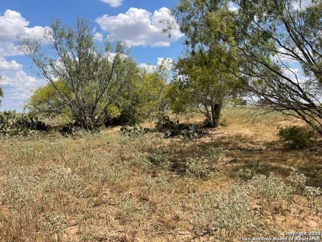 Image 8 of 11 For 713 County Road 232