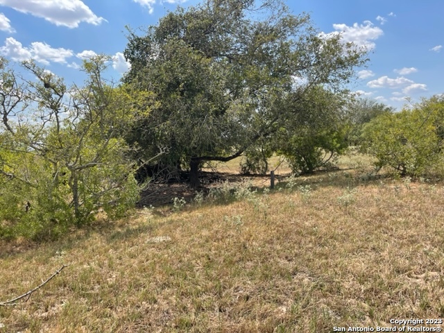 Image 9 of 11 For 713 County Road 232