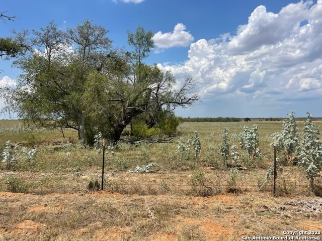 Details for 843 County Road 232, Floresville, TX 78114