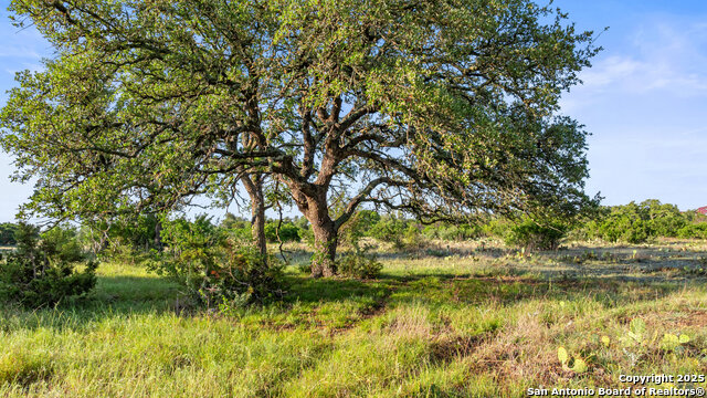 Details for Lot 4 Vista Ridge, Round Mountain, TX 78663