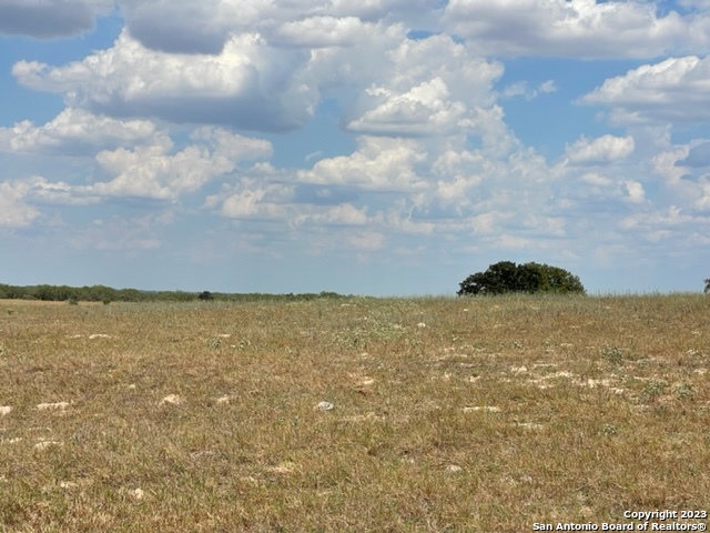 Details for 903 County Road 232, Floresville, TX 78114