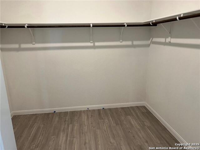 Image 11 of 18 For 3023 Shore Lark