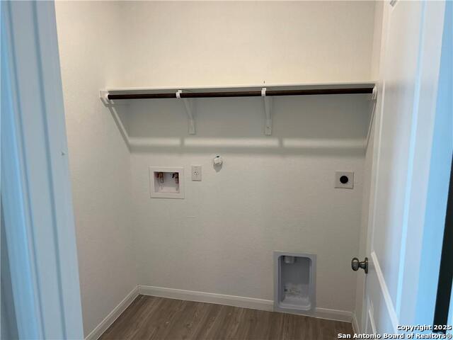 Image 16 of 18 For 3023 Shore Lark