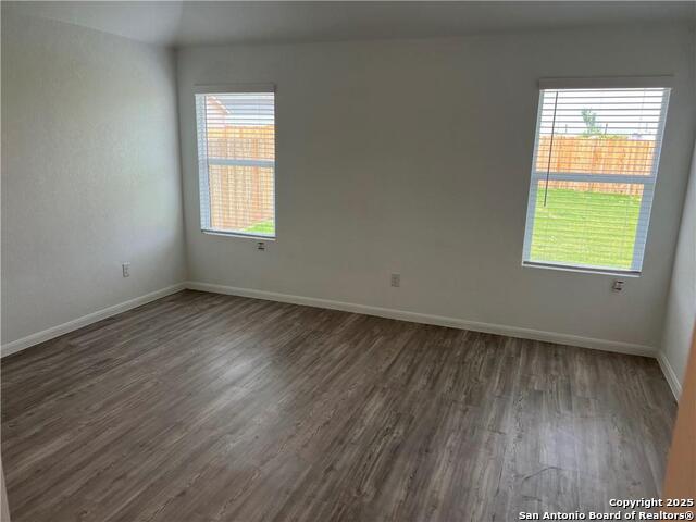 Image 8 of 18 For 3023 Shore Lark