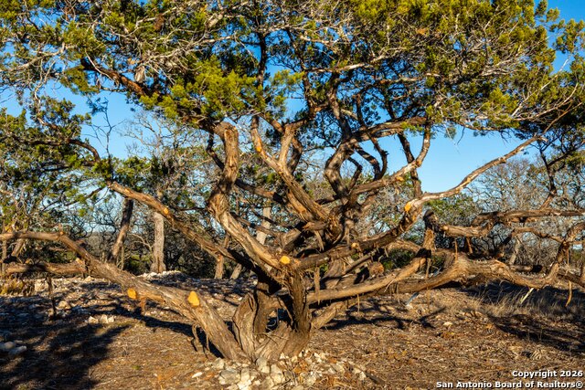 Listing photo id 13 for 474 Zapata Ridge