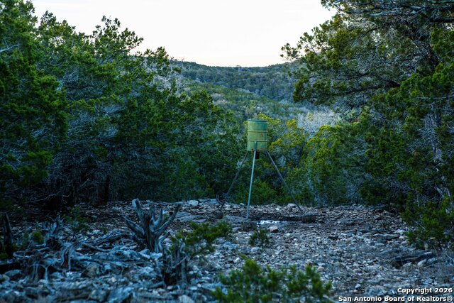 Listing photo id 17 for 474 Zapata Ridge