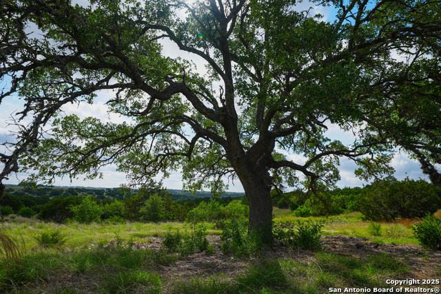 Image 10 of 20 For Lt 65 S Walcott Ridge