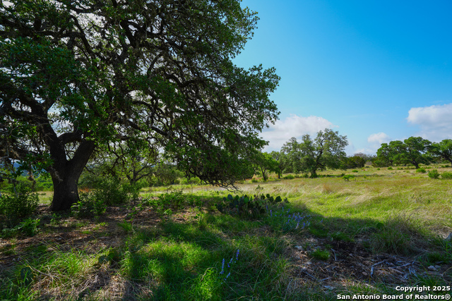 Image 14 of 20 For Lt 65 S Walcott Ridge