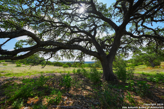 Image 7 of 20 For Lt 65 S Walcott Ridge