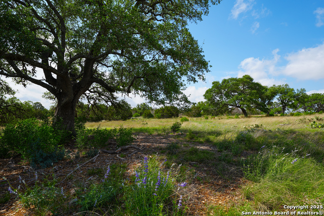 Image 8 of 20 For Lt 65 S Walcott Ridge