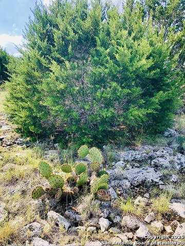 Image 16 of 22 For Lot 13 Wainright Springs