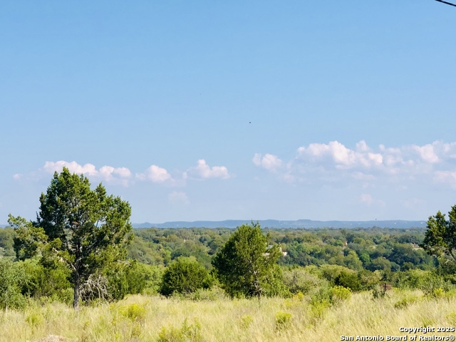 Image 5 of 22 For Lot 13 Wainright Springs