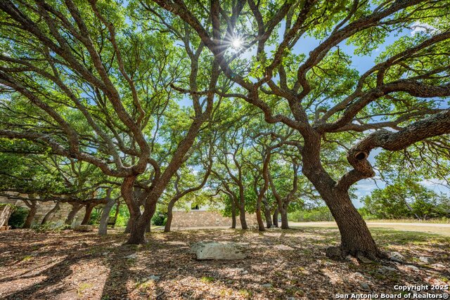 Image 40 of 41 For 103 Connally