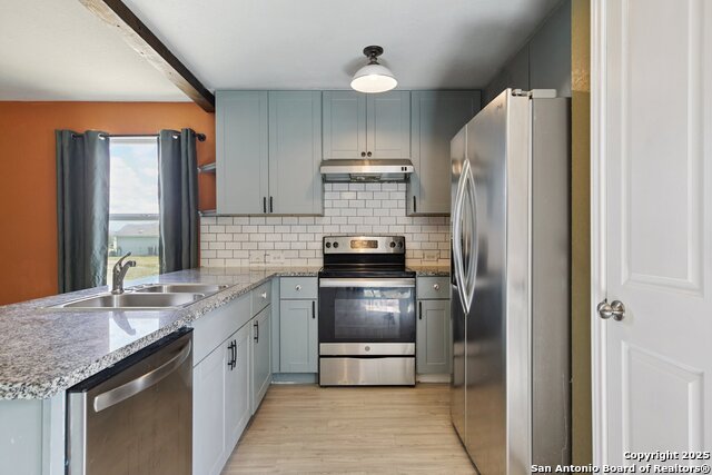 Image 15 of 30 For 2484 Pechora Pipit