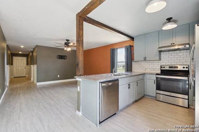 Image 16 of 30 For 2484 Pechora Pipit