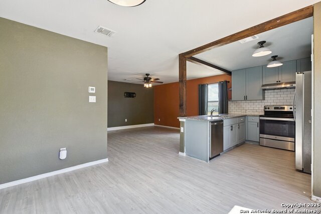 Image 17 of 30 For 2484 Pechora Pipit