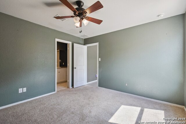 Image 21 of 30 For 2484 Pechora Pipit