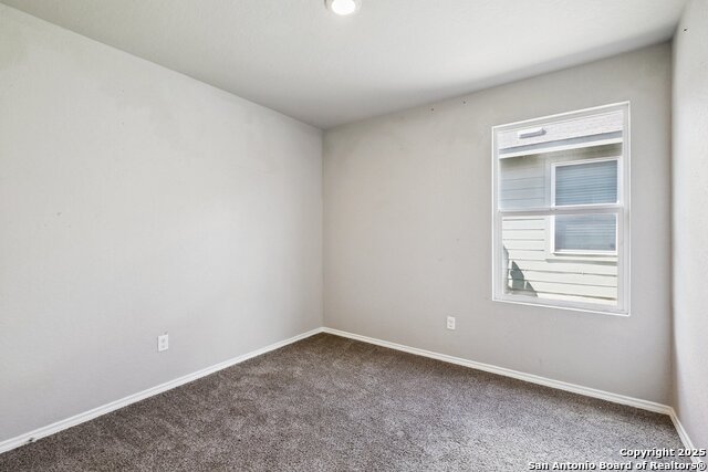 Image 7 of 30 For 2484 Pechora Pipit