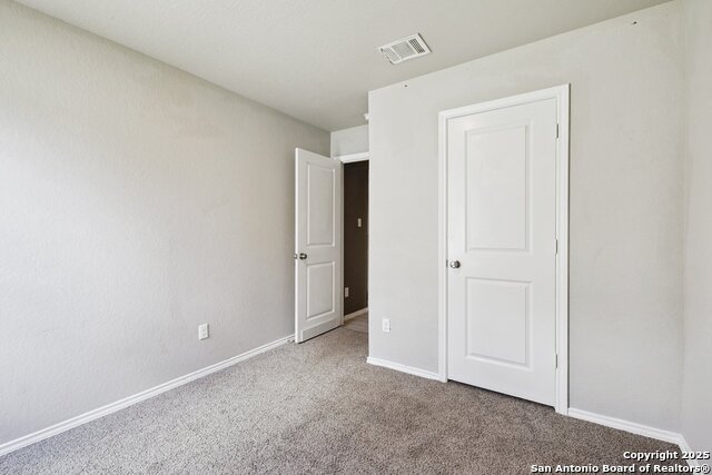 Image 9 of 30 For 2484 Pechora Pipit