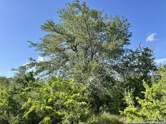 Details for 0 County Road 104, Pettus, TX 78146