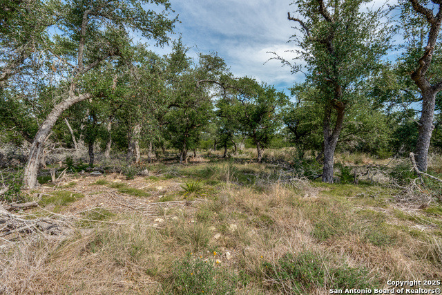 Listing photo id 0 for 711 Vista Springs