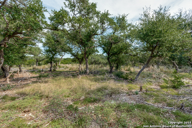 Listing photo id 1 for 711 Vista Springs