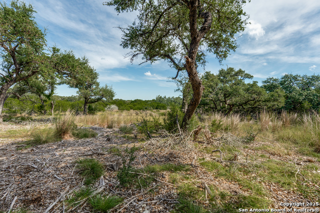 Listing photo id 2 for 711 Vista Springs