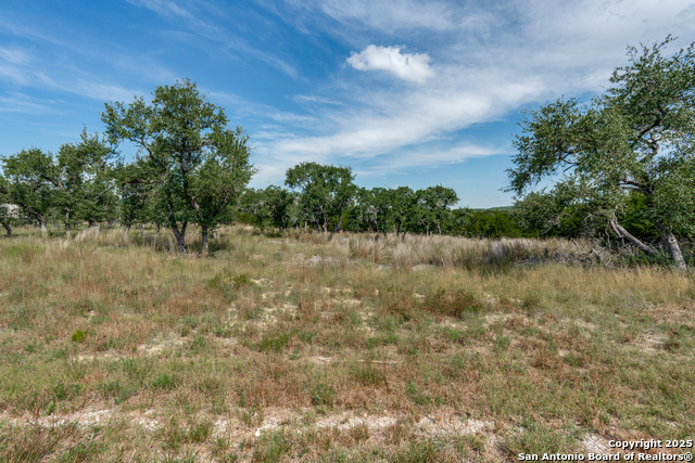 Listing photo id 3 for 711 Vista Springs