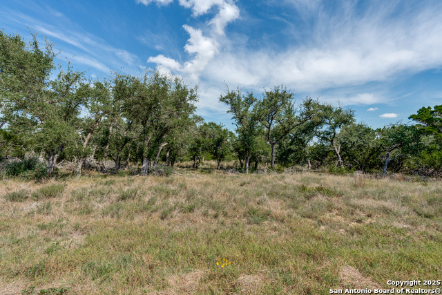 Listing photo id 5 for 711 Vista Springs