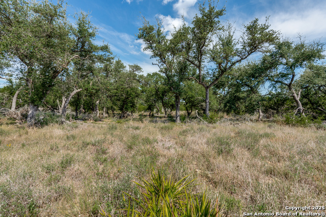 Listing photo id 6 for 711 Vista Springs