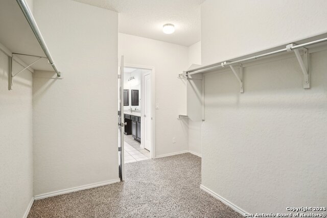 Image 14 of 41 For 10822 Red Sage