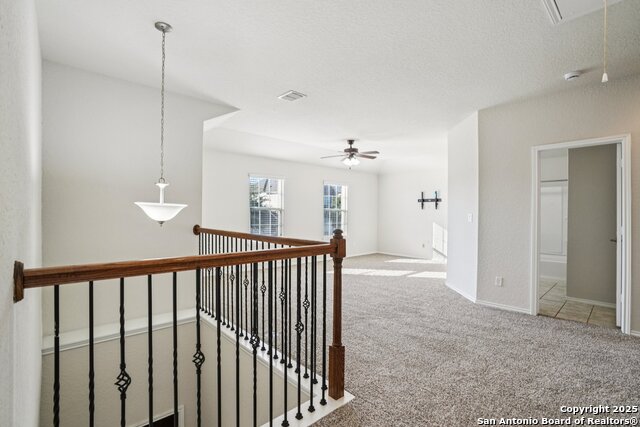 Image 19 of 41 For 10822 Red Sage