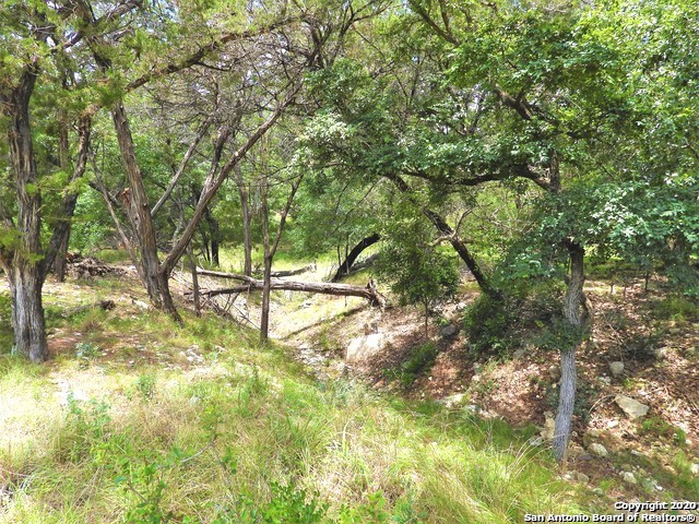 Listing photo id 13 for 130 Deer Trail