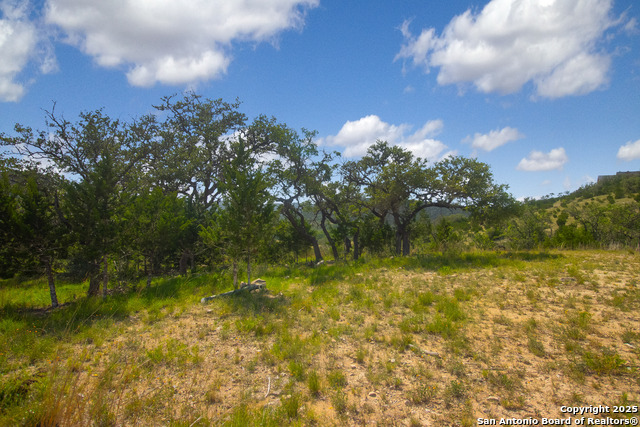 Details for 000 Wallace Creek Rd, Medina, TX 78055
