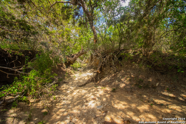 Image 10 of 36 For 000 Wallace Creek Rd