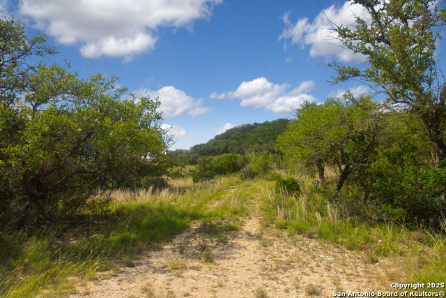 Image 33 of 36 For 000 Wallace Creek Rd
