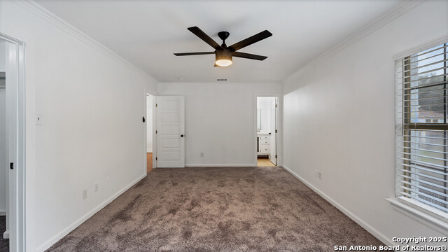 Image 13 of 17 For 1635 Gruene Cv