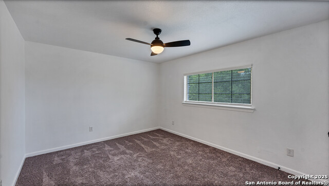 Image 15 of 17 For 1635 Gruene Cv